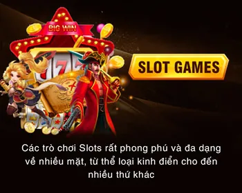 Bảng Điều Khiển Đối Tác